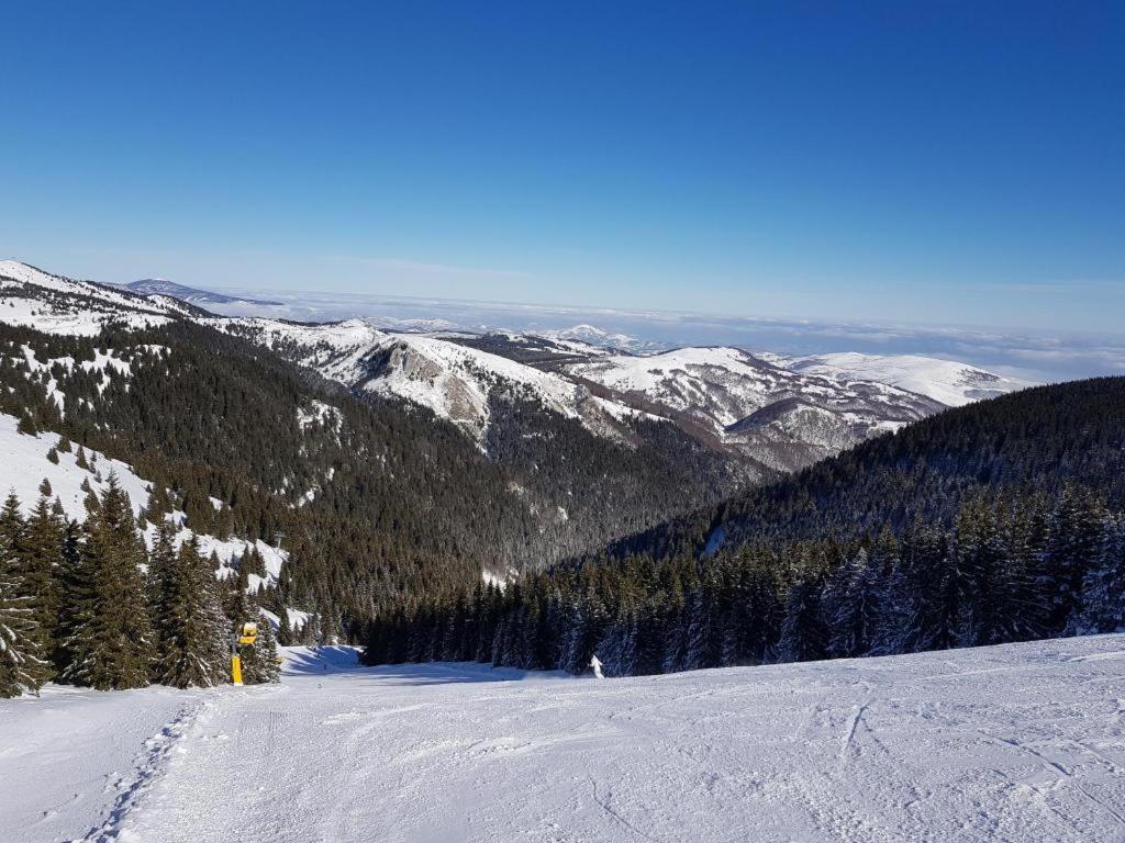 As Lux Apartmani Kopaonik Dış mekan fotoğraf